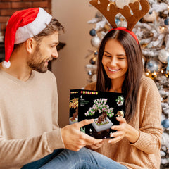 HOGOKIDS ideal gift for birthdays and holidays for plant lovers