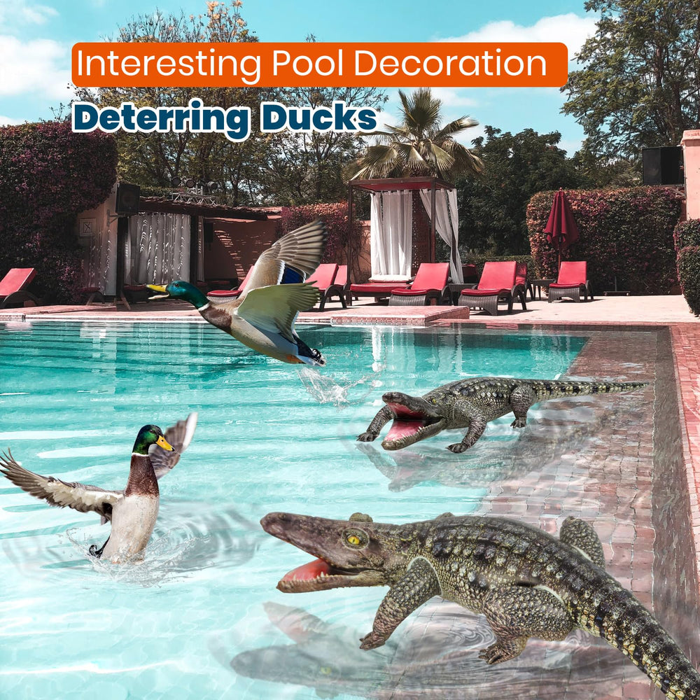 HOHQB pool decor with 40in inflatable alligator for summer gatherings.