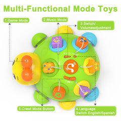 Holaxander Musical Ladybug toy back view with lights and nine songs for stimulation.