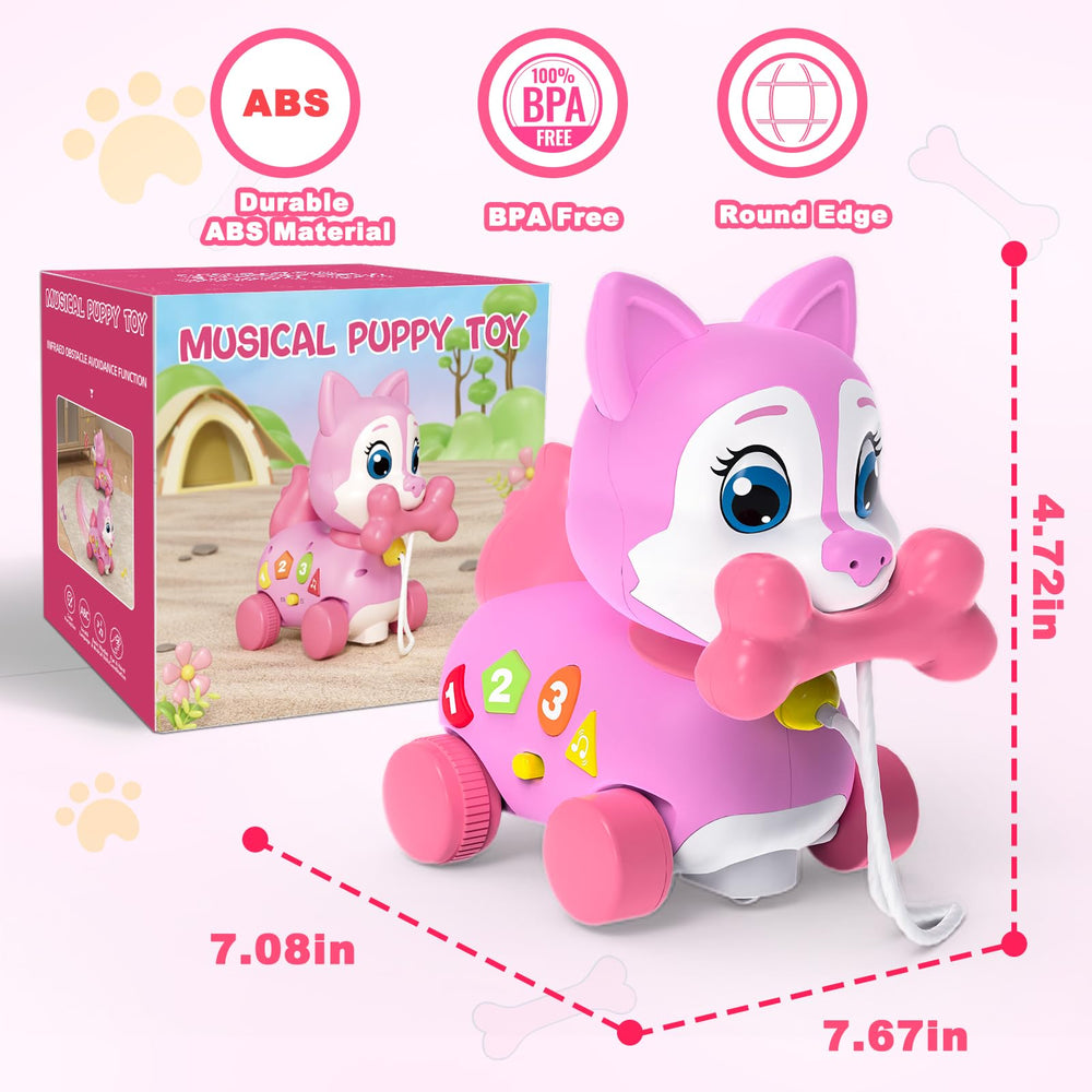 Holaxander toy requires 3 AA batteries for immediate play