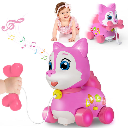 Holaxander musical puppy toy with lights and buttons for interactive learning