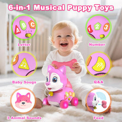 Holaxander toy teaching letters and numbers in bilingual mode