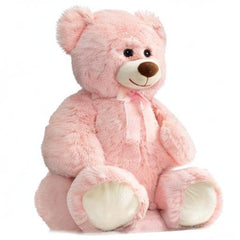 HollyHOME pink teddy bear as room decor and companion.