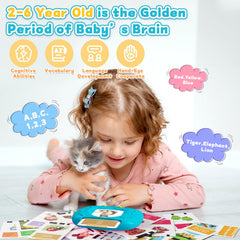 HOMESTEC flash cards display 288 words with vivid visuals for daily practice