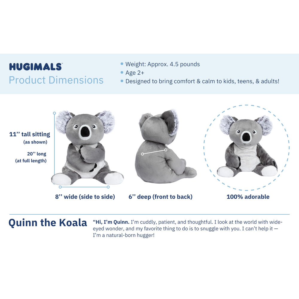 Quinn Koala makes a thoughtful gift with a cozy presence