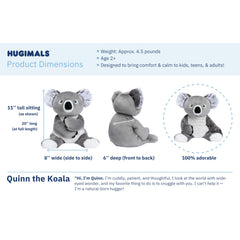 Quinn Koala makes a thoughtful gift with a cozy presence