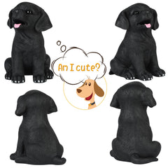 H&W Labrador money bank coin slot close-up shows wide 1.6 inch opening for coins and notes.
