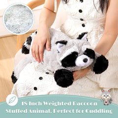 HyDren raccoon plush ready for snuggle and imaginative play.