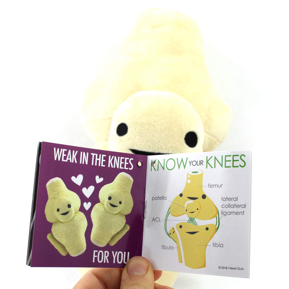 I Heart Guts detailed knee joint plush for classroom display