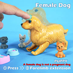 iBayda easy wardrobe changes support quick, versatile storytelling moments.