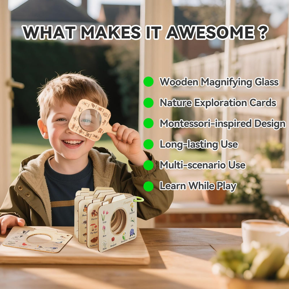 Ibwaae mushrooms and flowers cards showcase fungi and blooms for study outdoors