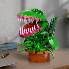 IFREXBK Audrey II gift box ready for a special occasion.