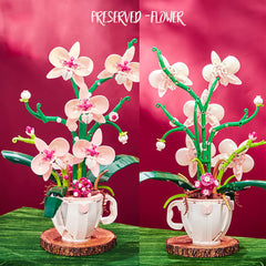 iixeal pink orchid instruction manual clear steps for easy assembly
