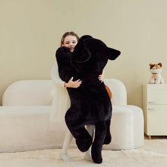IKASA Black Cat Plush room decor adds a playful, comforting touch to bedrooms.