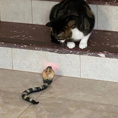 FauKait Remote Control Snake Toy – RC & Robot Electric Rattlesnake Fast Moving for Kids