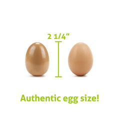 Imagination Generation egg size 2.25 inches to mirror standard eggs in play