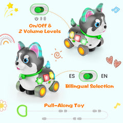 Ingbear puppy first birthday gift appealing to boys and girls with engaging features.
