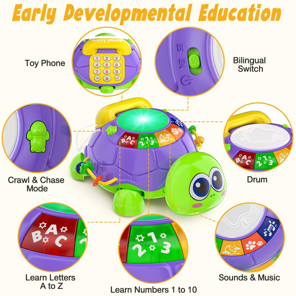 INNOSKY turtle-safe ABS design with BPA-free materials ensures baby-friendly exploration.