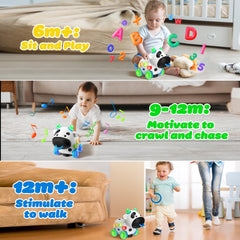 INNOSKY Musical Cow Toy with flashing lights and music for sensory play.