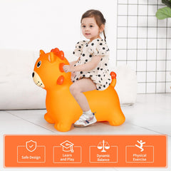 INPANY Bouncy Horse indoor play setup for toddlers