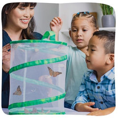 Insect Lore Chrys-A-Lid log helps protect chrysalides during butterfly development.