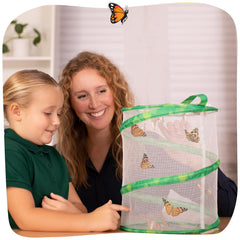 Insect Lore classroom learning kit supports engaging science lessons.