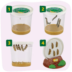 Insect Lore durable pop-up habitat keeps observation safe and accessible.