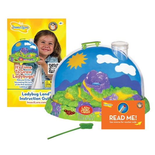 Insect Lore Ladybug Land diorama habitat with magnified viewing lid for close observation.