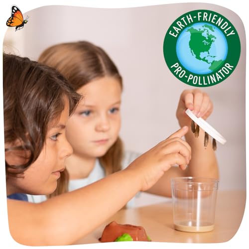 Insect Lore STEM activity journal supports guided science learning during metamorphosis observations.