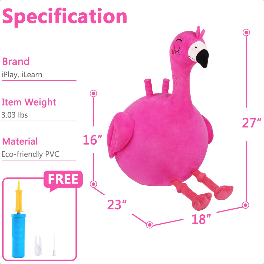 iPlay Flamingo Hopper Ball versatile for home, classroom, and outdoor use