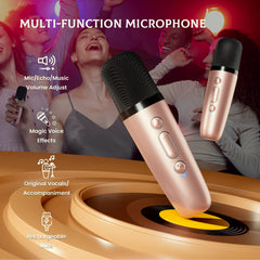 IROO karaoke machine portable speaker doubles as a compact family speaker