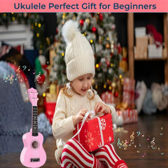 Jakeloo guitar packaging, gift-ready presentation.