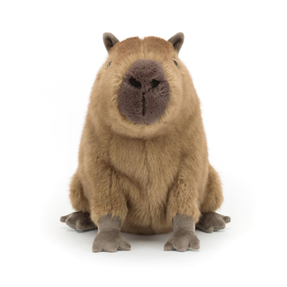 Jellycat Clyde Capybara gift-ready packaging, ideal for gifting.