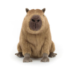 Jellycat Clyde Capybara gift-ready packaging, ideal for gifting.