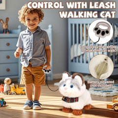 Jimate kitty with detachable cover enables easy cleaning after play.