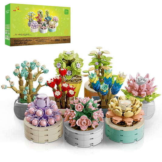 JMBricklayer flowers-succulents-botanical-set arrangement highlights vibrant, long-lasting display