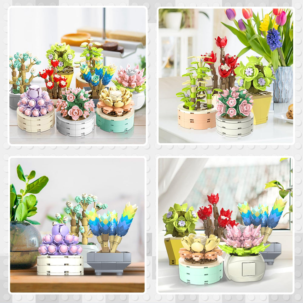 JMBricklayer mix-and-match-succulents-types offers versatile display options for any room