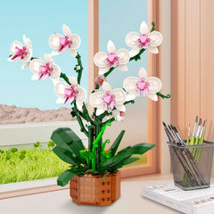 Joniuuca gift-ready orchid set ideal for birthdays and special occasions.