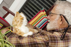 Joy For All Companion Cat-friendly orange tabby promotes accessible, low-maintenance companionship.