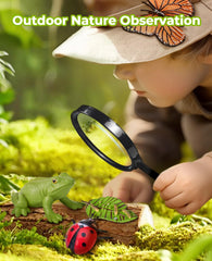 JoyCat wooden life cycle board anchors learning with clear stages.