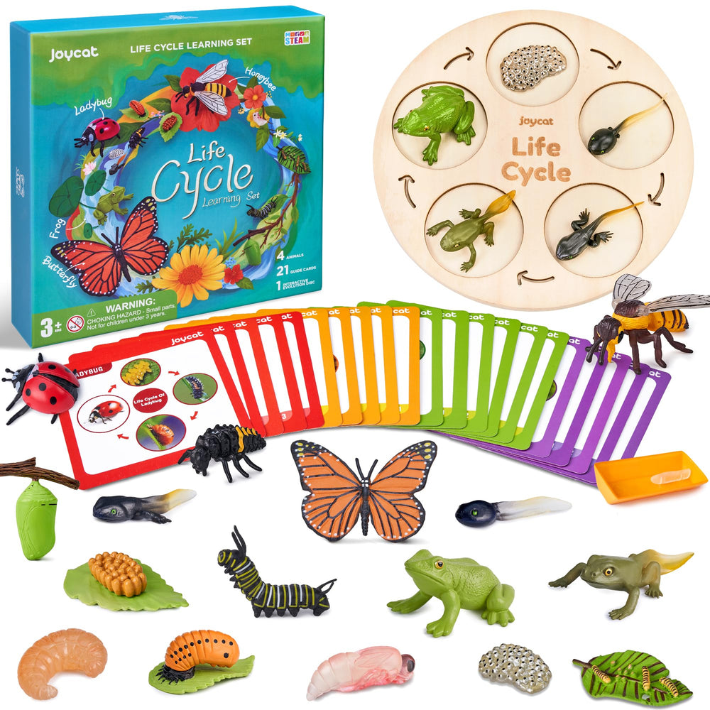 JoyCat butterfly life cycle figures with cards for hands-on learning