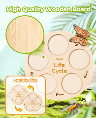 JoyCat ladybug figures encouraging early biology exploration