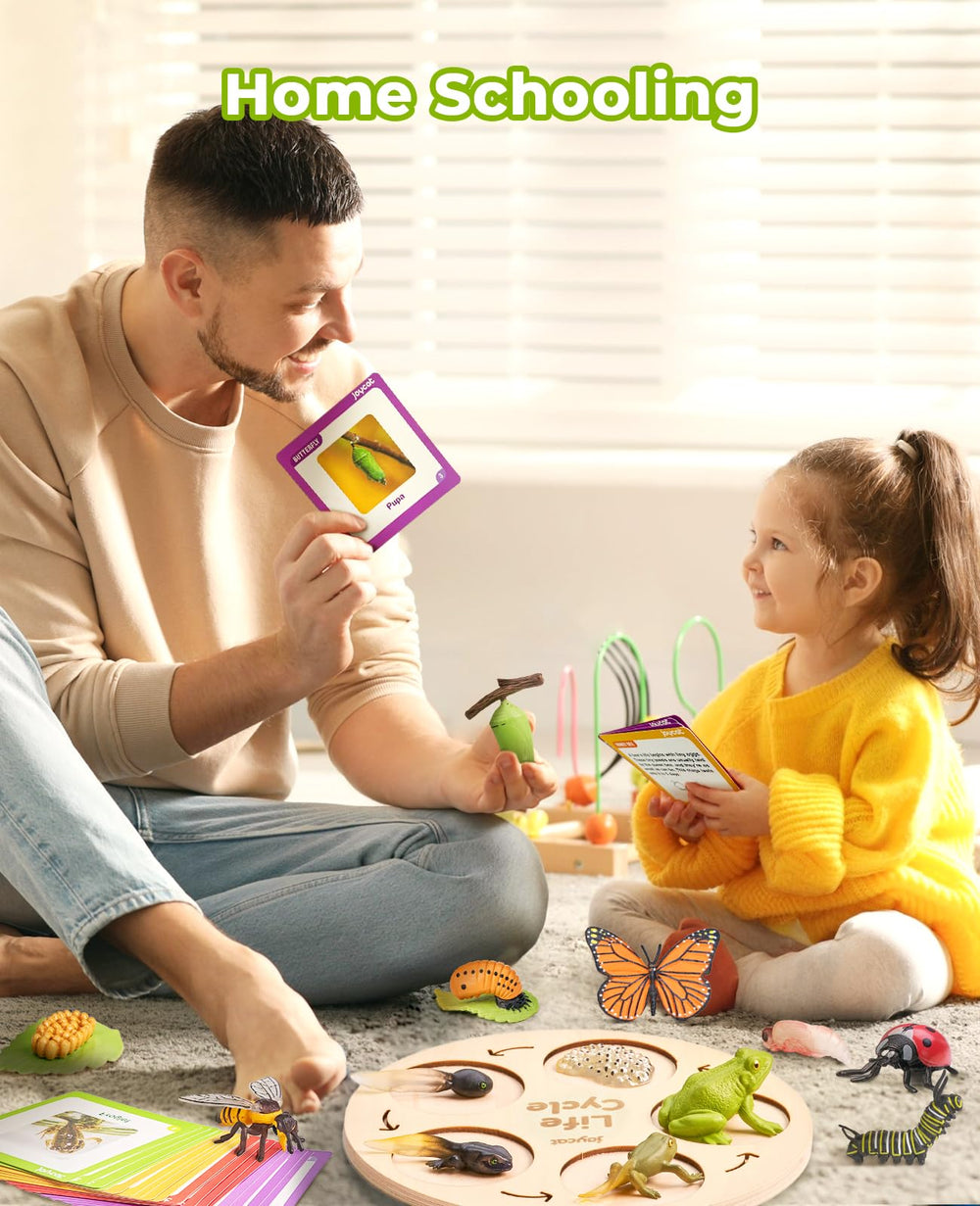 JoyCat life cycle cards offering clear visuals for sequence learning