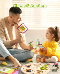 JoyCat life cycle cards offering clear visuals for sequence learning