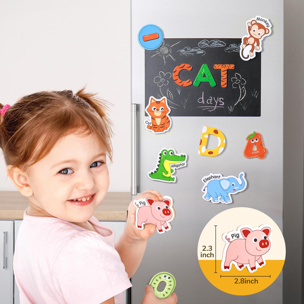 JoyCat magnets with basswood interlayer offer sturdy grip.
