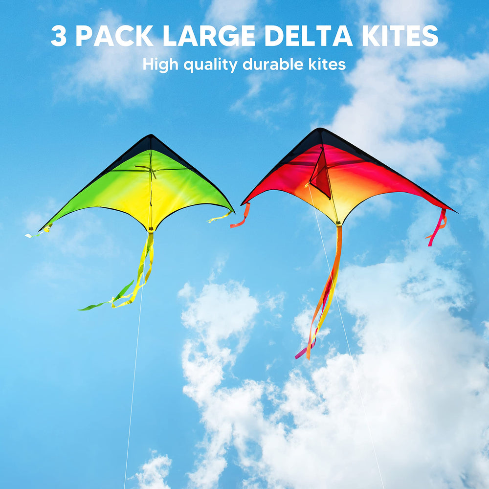 JOYIN family enjoying outdoor kite play on a sunny day