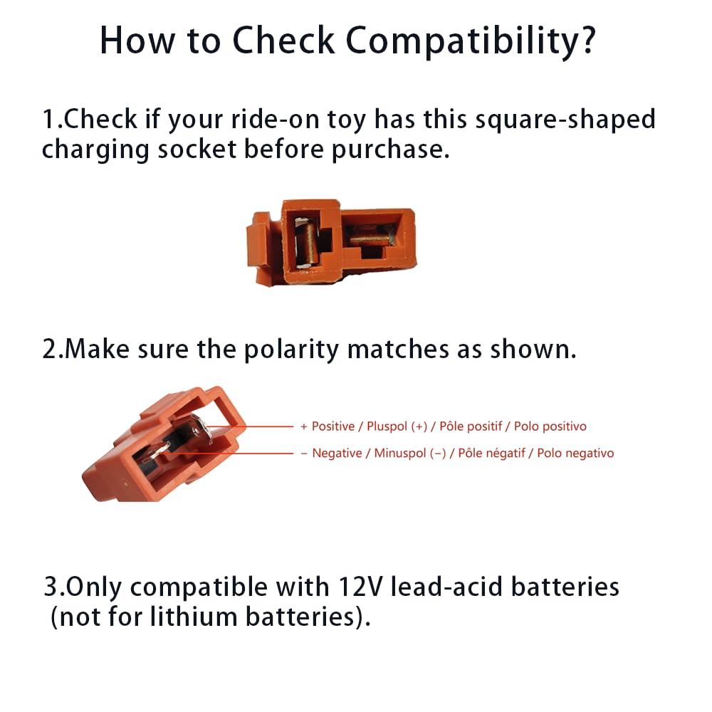 Cable shows input range 100-240V for global compatibility.