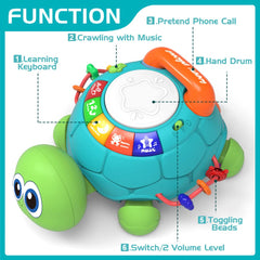 Jyusmile turtle head nod and LED display enhance sensory engagement.