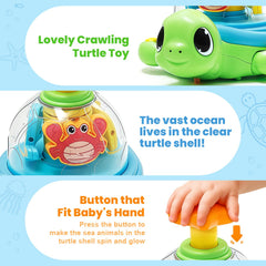 Jyusmile turtle safe ABS materials ensure a durable, non-toxic toy