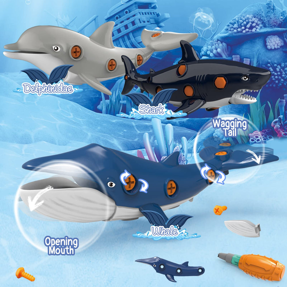 KAEGREEL take-apart dolphin toy encourages problem-solving during assembly